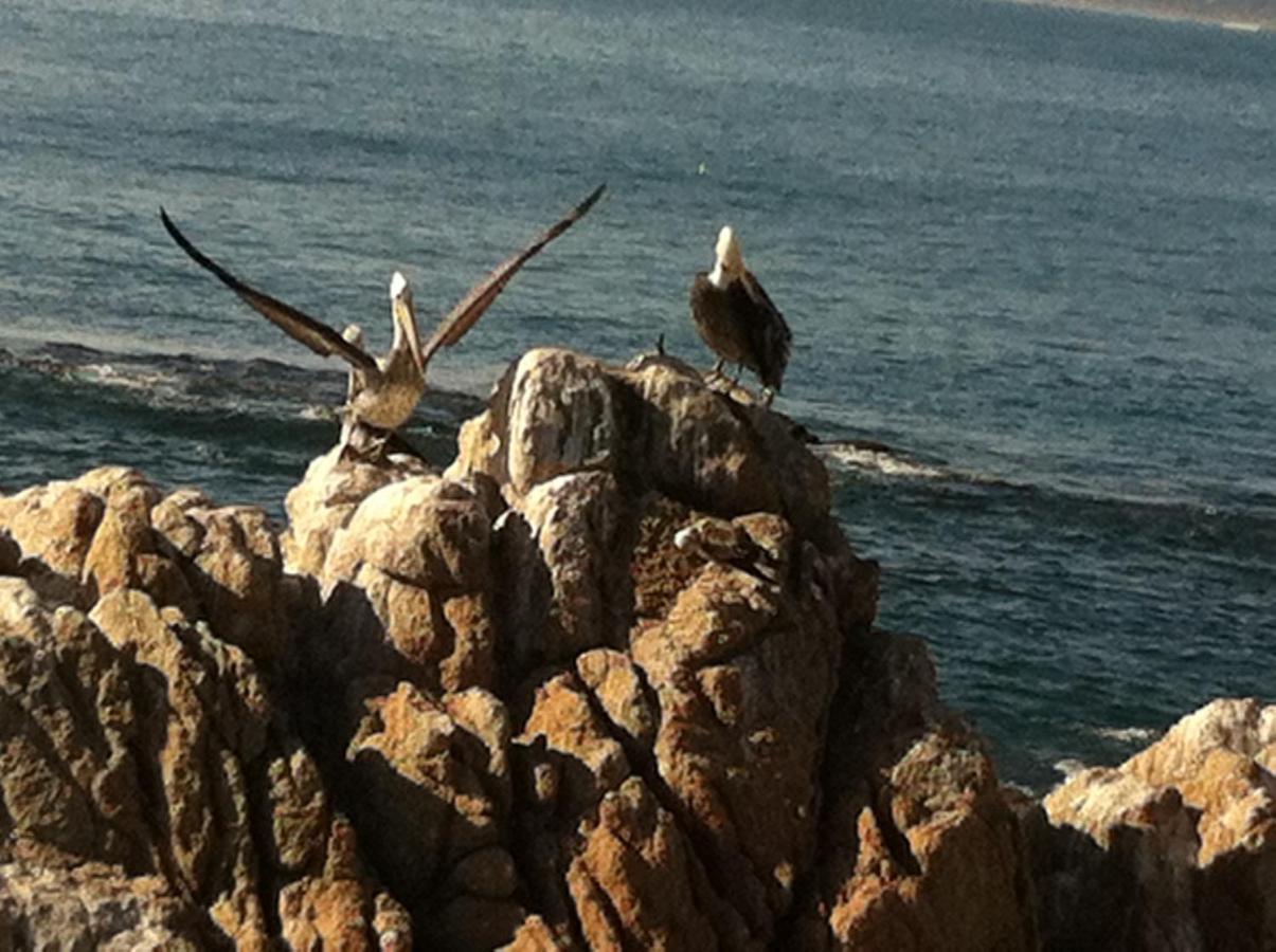 B&B Patrimonial Little Castle Vina del Mar Extérieur photo